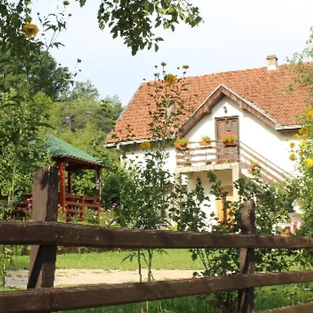 Sijakovic