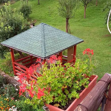 Sijakovic Apartment *