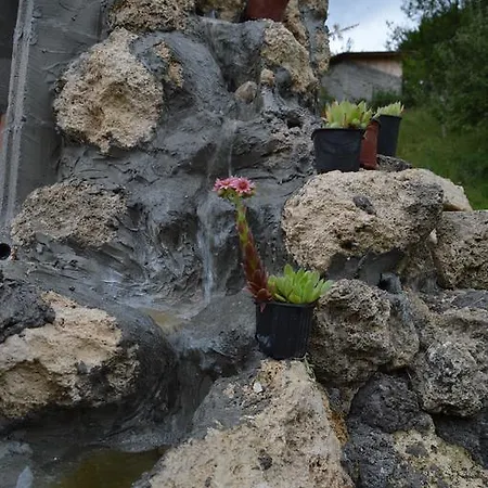 Sijakovic * Mokra Gora