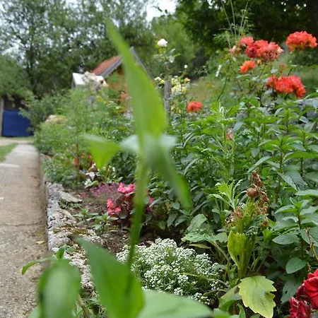 Sijakovic * Mokra Gora