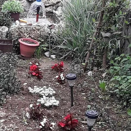 Sijakovic * Mokra Gora