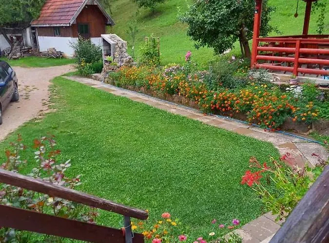 Sijakovic * 모크라 고라