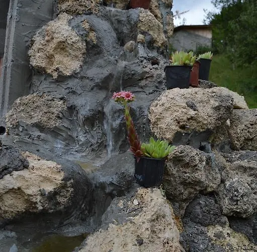 Sijakovic * 모크라 고라