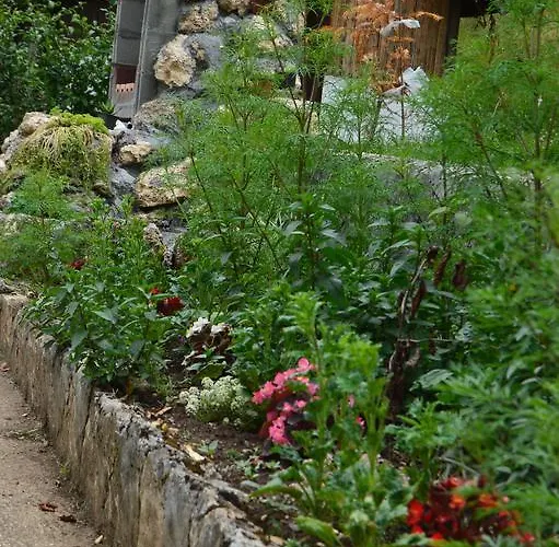 Sijakovic 아파트 모크라 고라