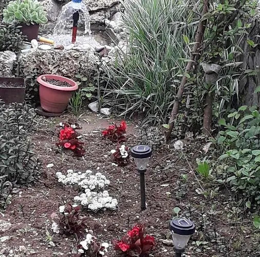 Sijakovic * 모크라 고라